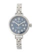 Shinola The Birdy Watch