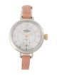 Shinola The Birdy Watch