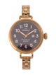 Shinola The Birdy Watch