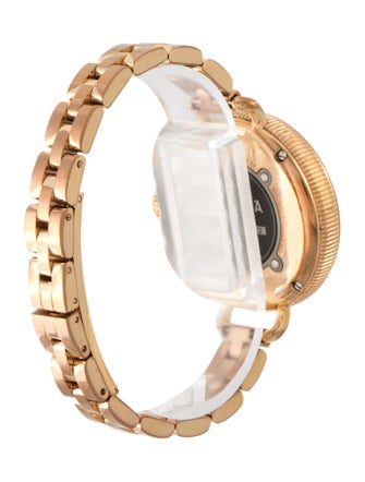 Shinola The Birdy Watch