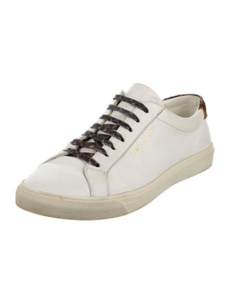 Saint Laurent Leather Sneakers