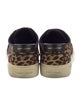 Saint Laurent Canvas Animal Print Sneakers