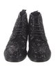 Saint Laurent Sequins Sequin Embellishments Sneakers