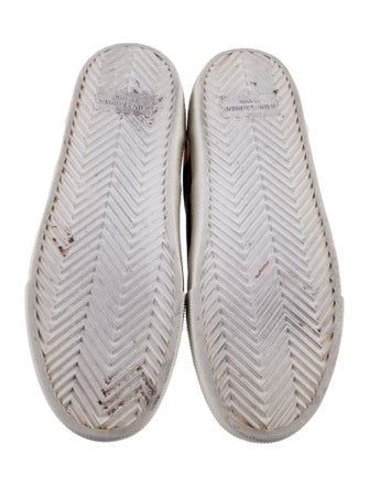 Saint Laurent Canvas Printed Sneakers