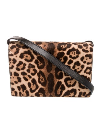 Saint Laurent Ponyhair Bellechasse Small