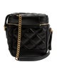 Saint Laurent Leather 80's Vanity Bag Mini