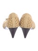 Saint Laurent Raffia Bow Accents Pumps
