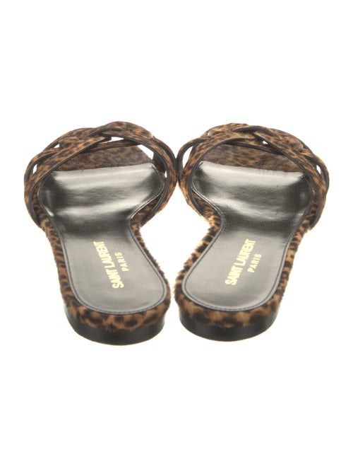 Saint Laurent Ponyhair Animal Print Slides