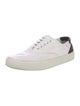 Saint Laurent Canvas Sneakers