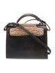 Saint Laurent Raffia Cassandre Mini