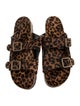 Saint Laurent Ponyhair Animal Print Slides