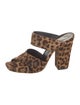 Saint Laurent Ponyhair Animal Print Mules