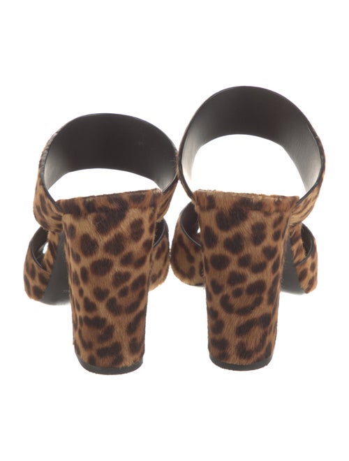 Saint Laurent Ponyhair Animal Print Mules