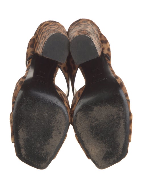 Saint Laurent Ponyhair Animal Print Mules