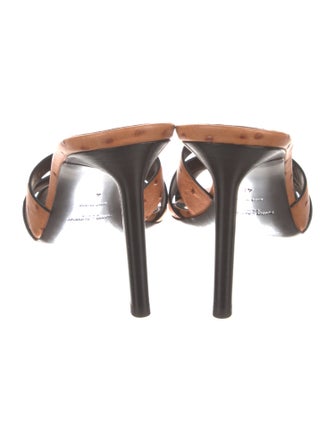 Saint Laurent Ostrich Slides