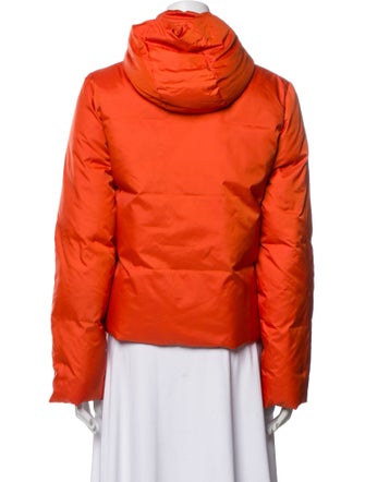 Sofie D'Hoore Down Jacket