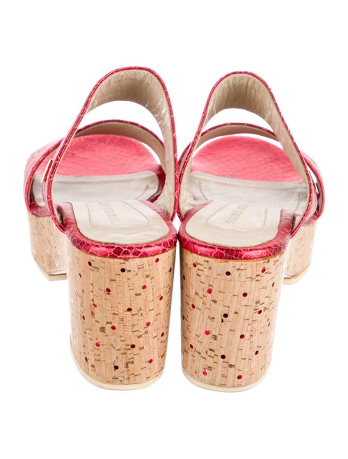 Sonia Rykiel Python Slides