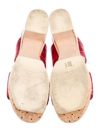 Sonia Rykiel Python Slides