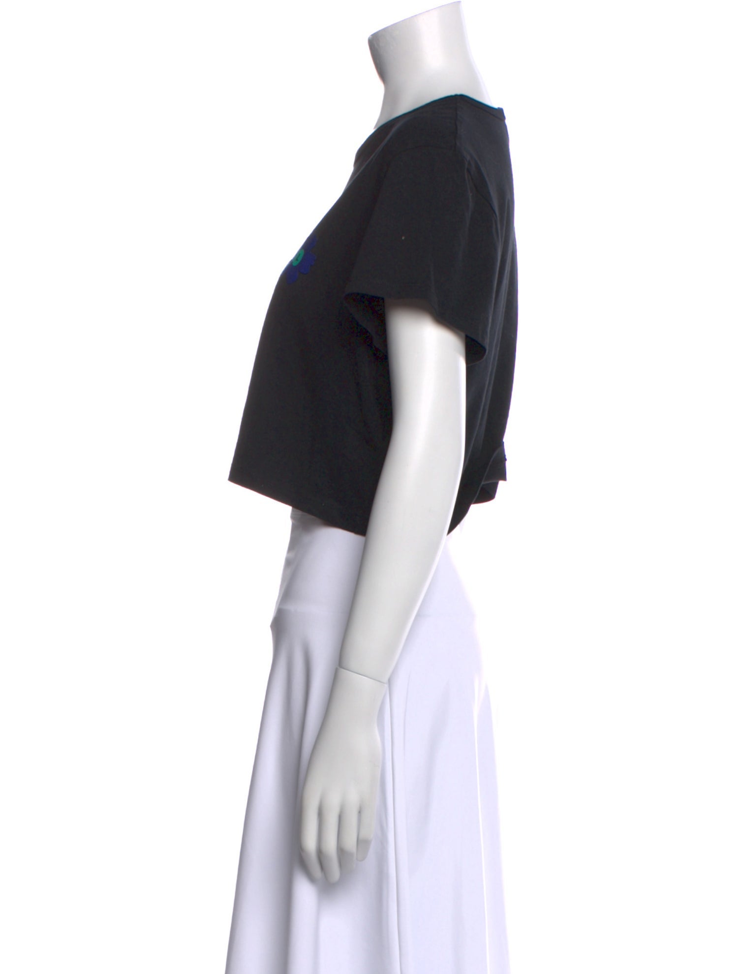 Sonia Rykiel Graphic Print Crew Neck Crop Top