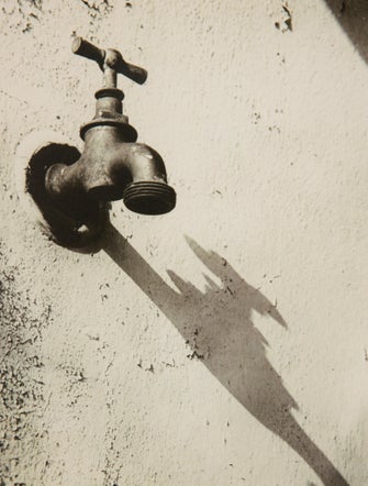 Steidl Modernist Photography: The Daniel Cowin Collection