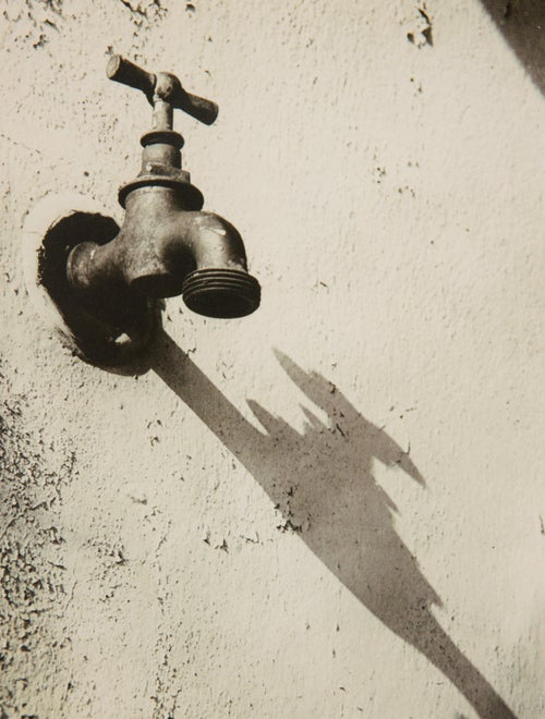 Steidl Modernist Photography: The Daniel Cowin Collection