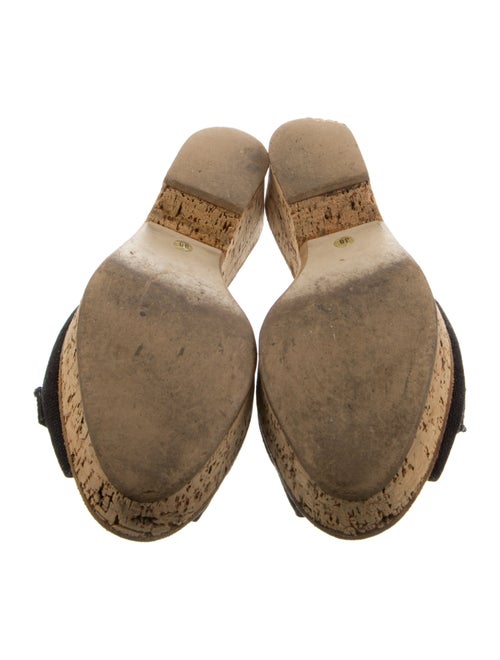 Walter Steiger Canvas Slides