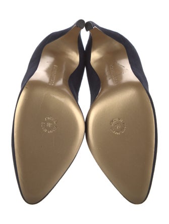 Walter Steiger Suede Pumps