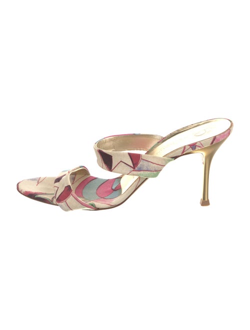 St. John Canvas Printed Slides