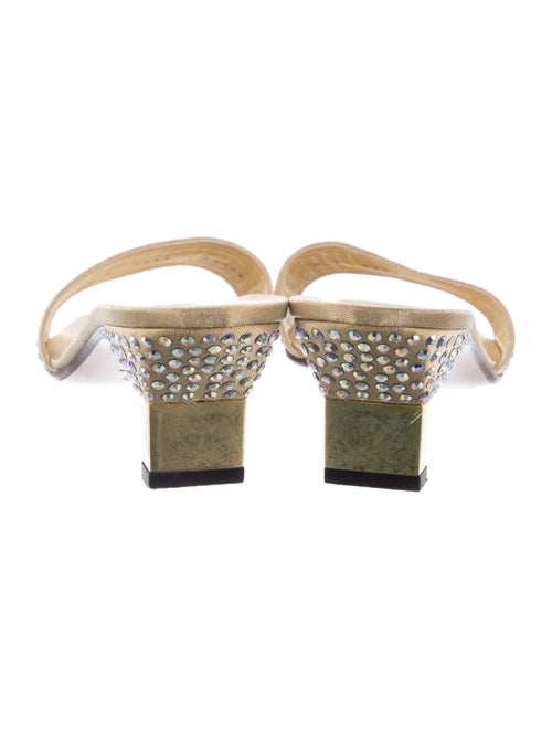 St. John Printed Slides