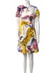 Stella McCartney Printed Mini Dress