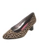Susan Bennis/Warren Edwards Ponyhair Animal Print Pumps