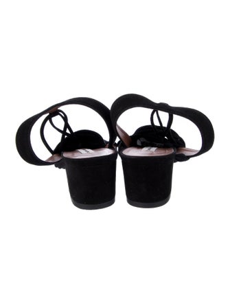 Tabitha Simmons Suede Gladiator Sandals