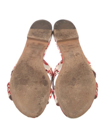 Tabitha Simmons Floral Print Slides