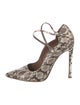Tabitha Simmons Snakeskin Animal Print Pumps