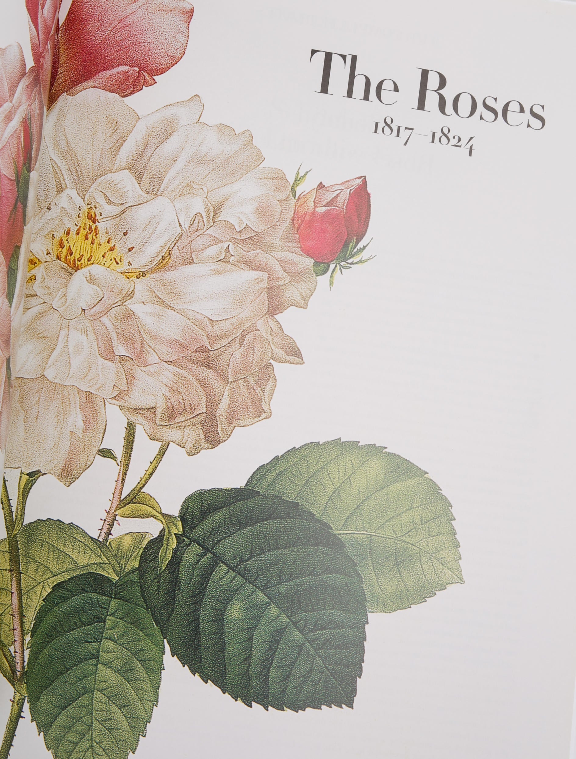 Taschen The Book Of Flowers Decor & Accessories TASCH21607 The RealReal