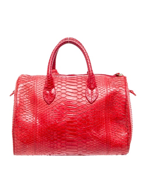 Taxidermy Snakeskin Top Handle Bag