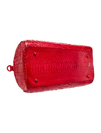 Taxidermy Snakeskin Top Handle Bag