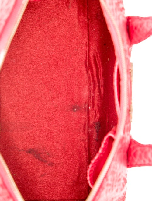 Taxidermy Snakeskin Top Handle Bag