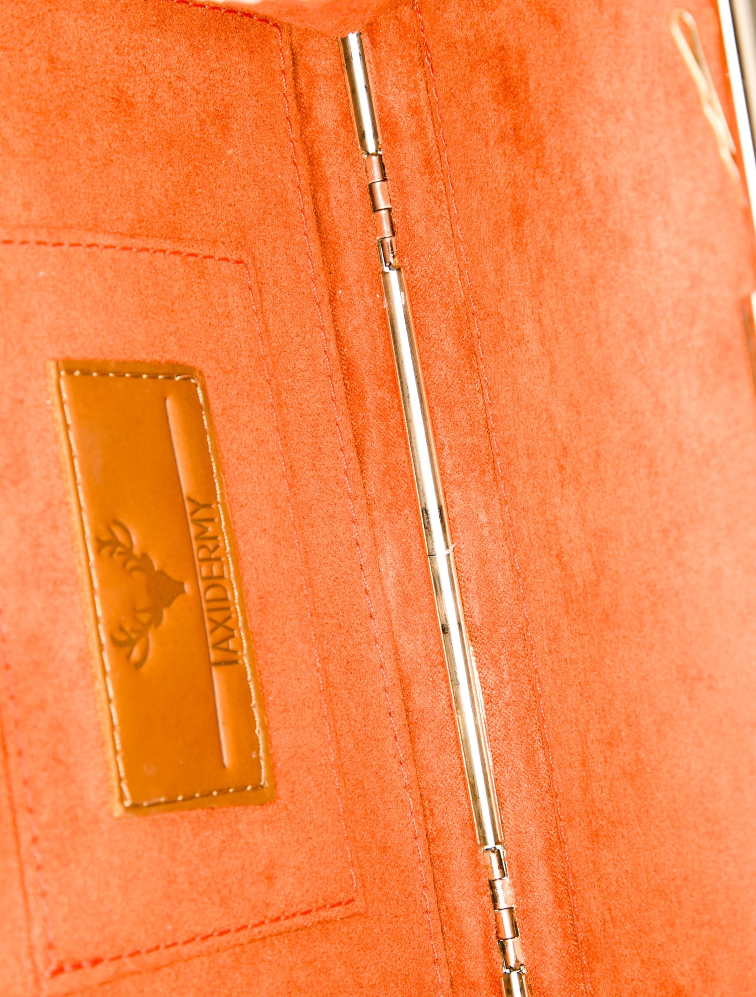 Taxidermy Python Minaudière