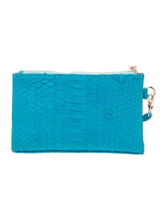 Taxidermy Snakeskin Clutch