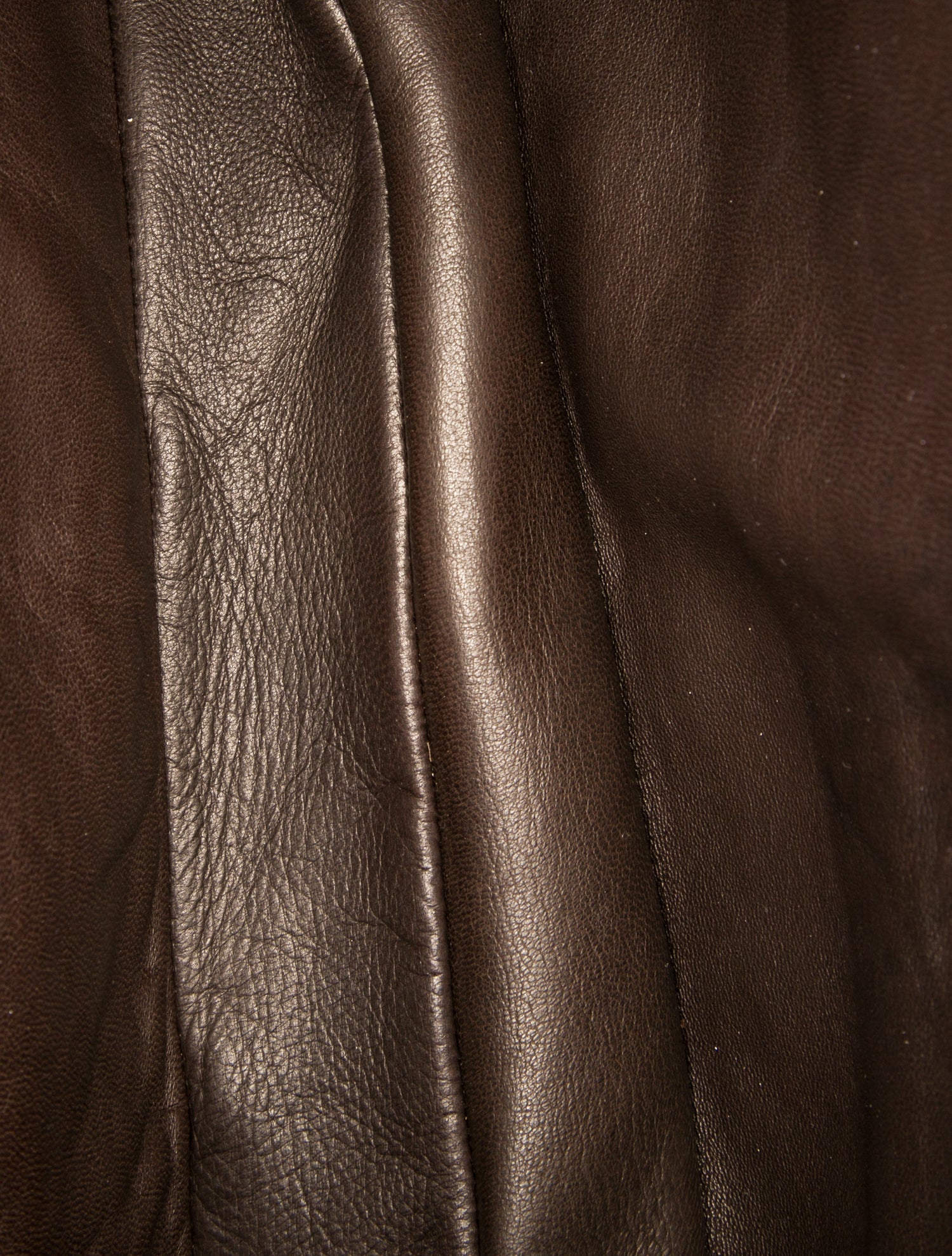 The Row Leather Bourse