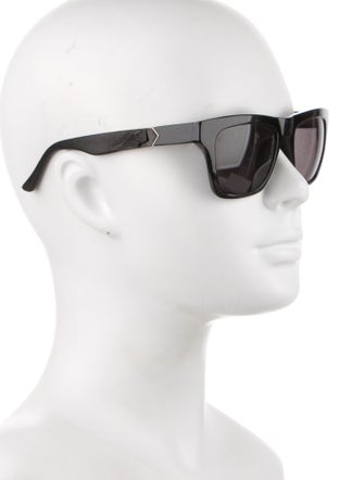 The Row Wayfarer Tinted Sunglasses