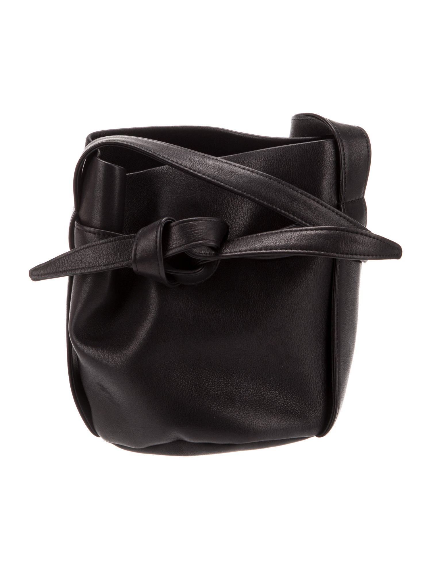 The Row Leather Leo Mini