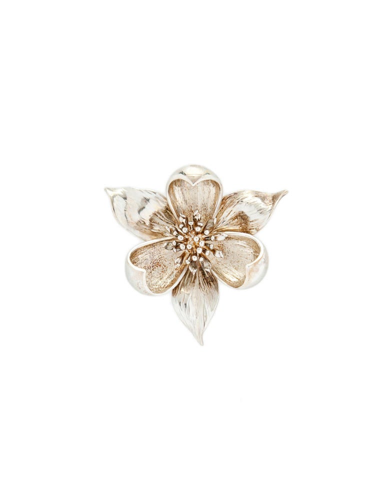 Tiffany & Co. Brooch