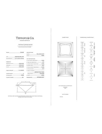 Tiffany & Co. Platinum 1.14ctw Novo® Engagement Ring