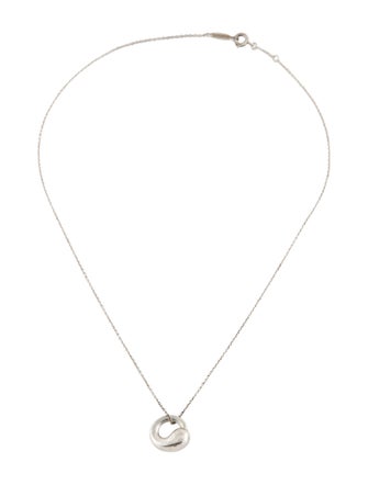 Tiffany & Co. Eternal Circle Pendant Necklace