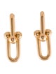 Tiffany & Co. 18K Large Link Drop Earrings