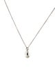 Tiffany & Co. Teardrop Pendant Necklace