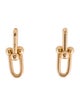 Tiffany & Co. 18K Large Link HardWear Drop Earrings