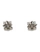 Tiffany & Co. Platinum Diamond Sixteen Stone Stud Earrings
